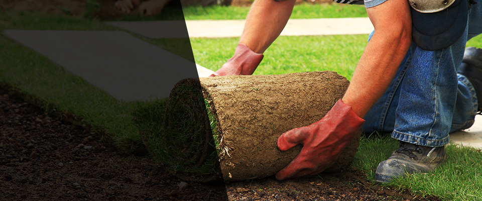 East Dubuque Landscapers